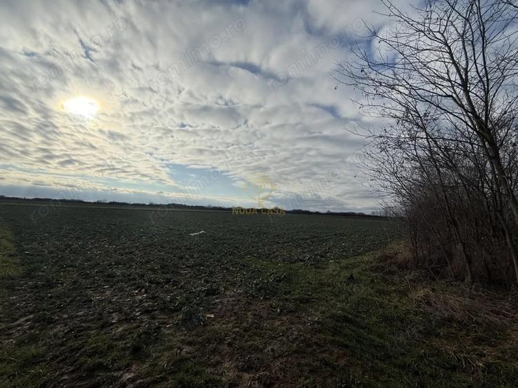 Teren de 6600 mp, în Lazuri