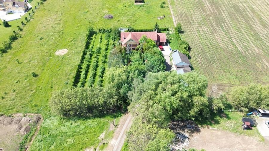 Casă cu 3 camere cu Teren 4534 Mp în Sud
