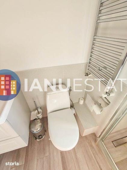 Bulevardul Unirii Zepter Rond Alba Iulia Decebal Renovat Spatios - 15