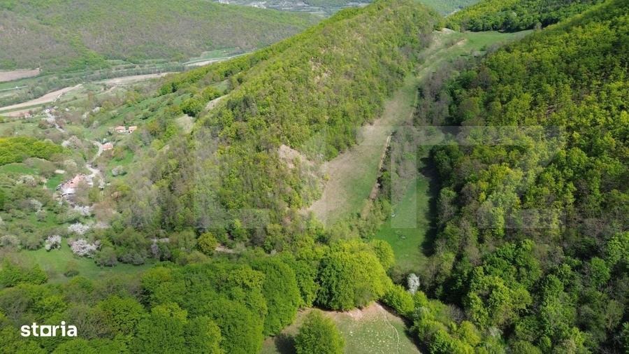 Spațiu comercial, în Pădure