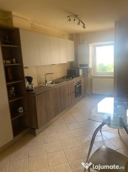 Apartament 2 camere -zona USAMV si Platinia - 13