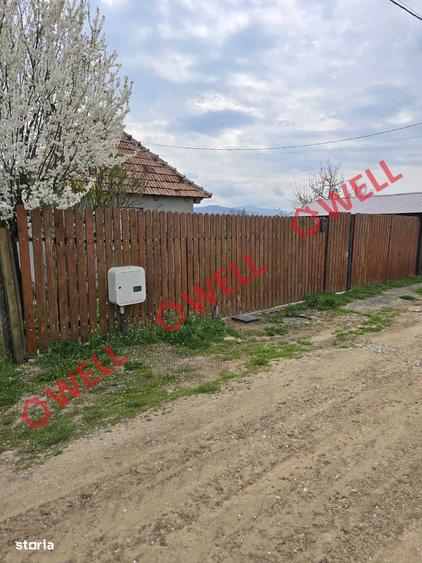 Casă cu Teren 1493 Mp în Ozun