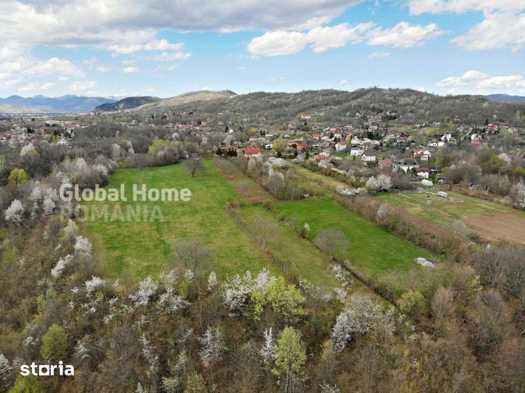 Mountain Plateau - 23.345 SQM - Exclusive Estate | Jud Prahova - Valea - 6