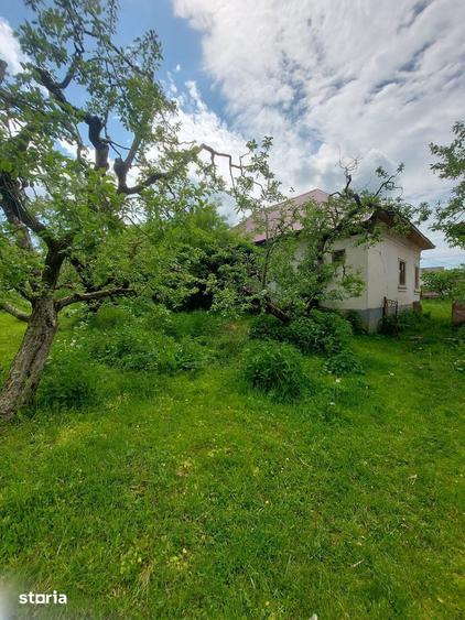 Vanzare casa si teren, sat Laicai - comuna Ceta?eni, jude?ul Arges - 11