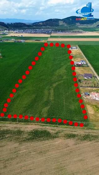 Teren agricol intravilan de 32100 mp, în Hărman