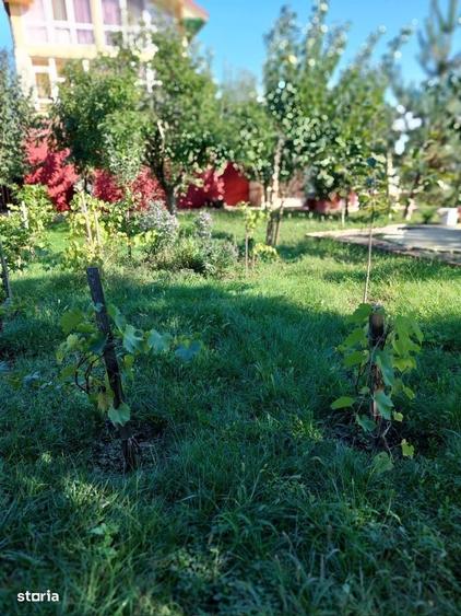 Casă cu 4 camere în Săftica