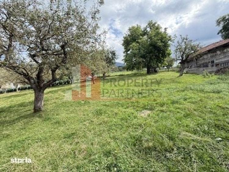 Teren intravilan 3.000 mp cu casa traditionala Bran, sat Poarta - 12