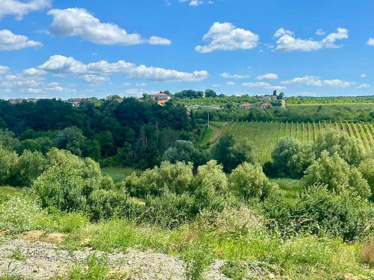 Teren intravilan de 670 mp, în Vișani
