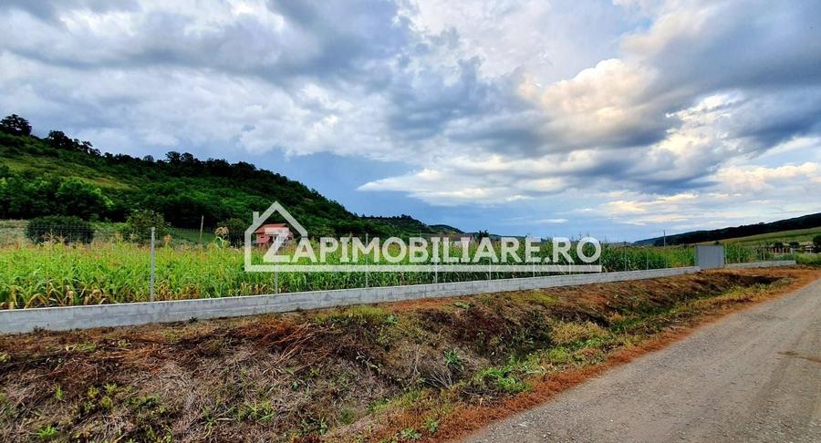 Teren Construcții intravilan de 2500 mp, în Livezeni