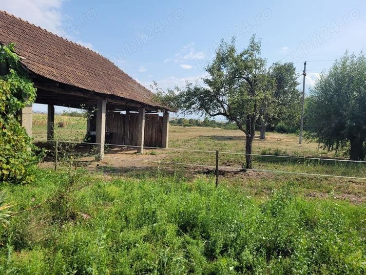 Casă în Topa de Criș