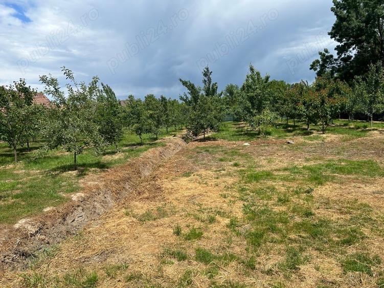 Casă cu 6 camere cu Teren 2700 Mp în Bocsig