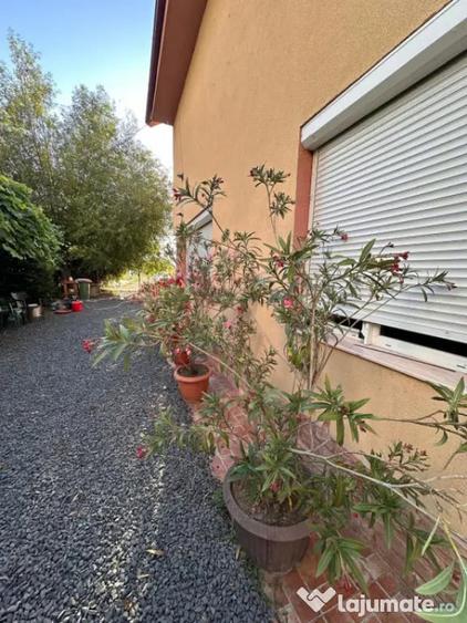 Casă cu 5 camere cu Teren 750 Mp în Central
