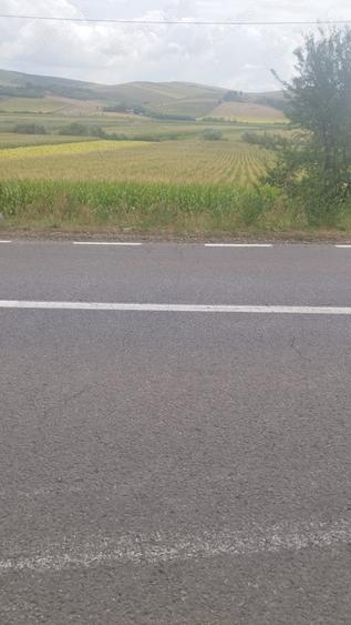 Teren de 6400 mp, în Central