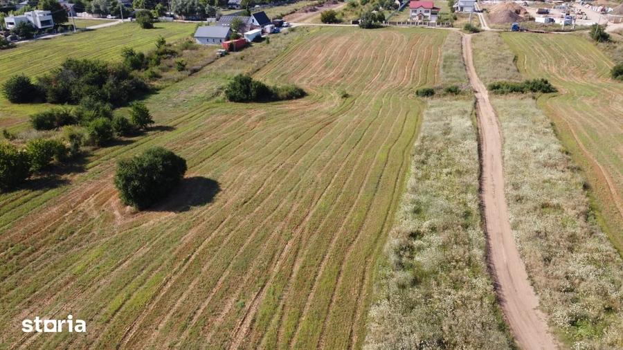 Teren intravilan 10.789 mp in Snagov - 4