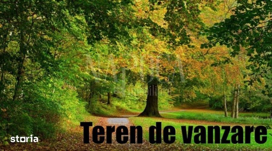 Teren de 1044 mp, în Făget