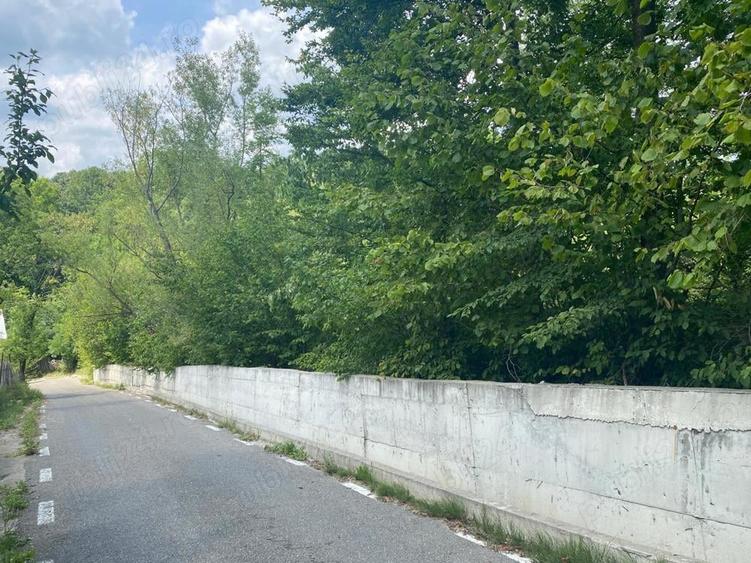 Teren de 8000 mp, în Telega