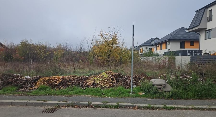 Teren Construcții intravilan de 9931 mp, în Odăi