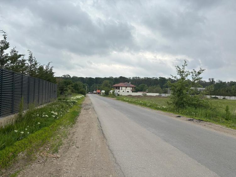 Teren 1000 mp în Mogoșoaia, la 5 minute de pădure - 1