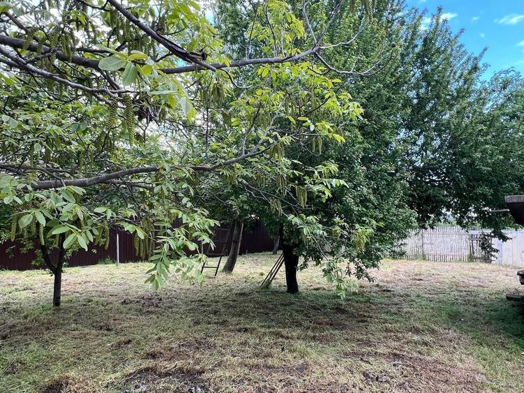 🏡 CASĂ + TEREN INTRAVILAN 4.971 MP – URECHEȘTI, VRANCEA - 32