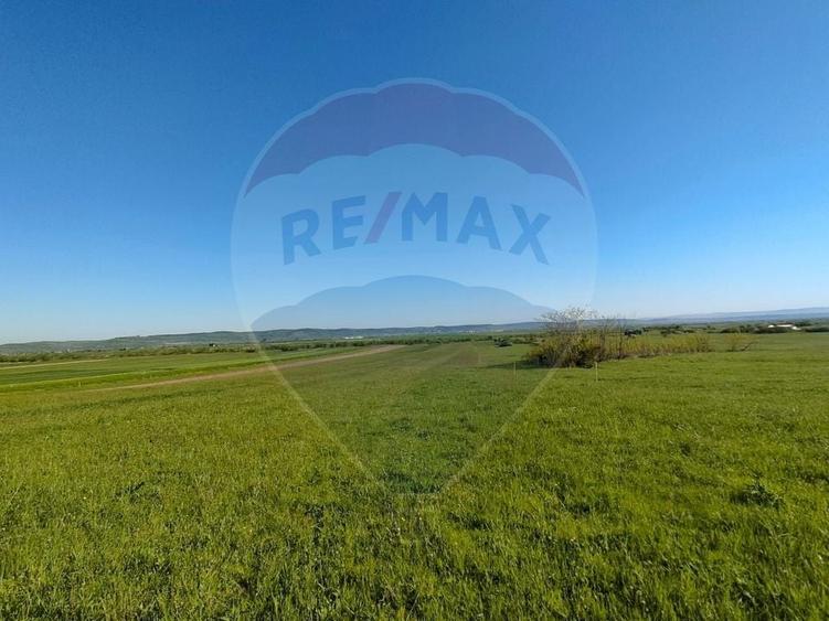 Teren agricol extravilan de 1668 mp, în Gura Râului