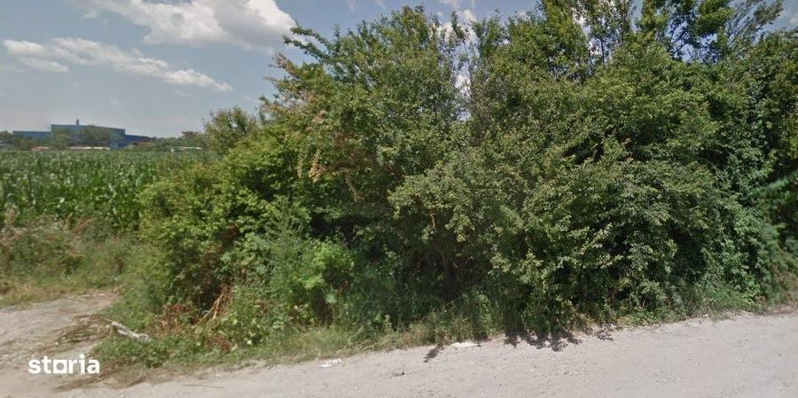 Spațiu comercial, în Berceni