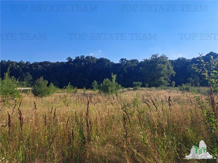 Casă individuală cu 4 camere cu Teren 3579 Mp în Căscioarele (Găiseni)