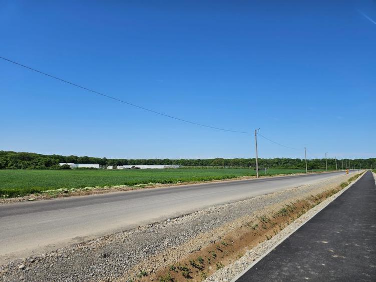 Teren Construcții intravilan de 17714 mp, în Bălteni