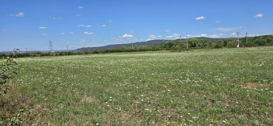 Teren Construcții intravilan de 23020 mp, în Răscruci