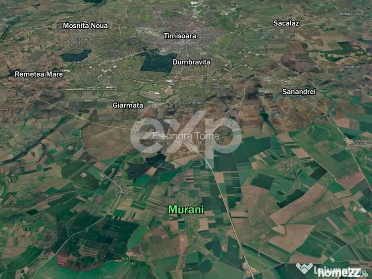 De vanzare teren | Murani | 1440 mp - Pischia | Comision 0% - Murani (Timis)