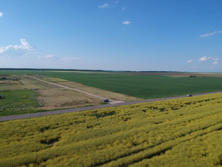 Teren Construcții intravilan de 4750 mp, în Frumușani