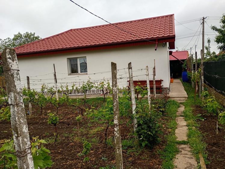 Casă individuală cu 3 camere cu Canalizare în Tulucești