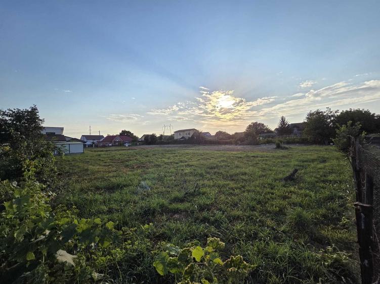 Loturi de teren de 487 mp de vanzare in Poiana, Ovidiu - 2