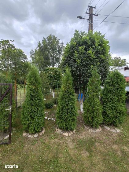 Casă cu 2 camere cu Teren 1800 Mp în Frătăuții Noi