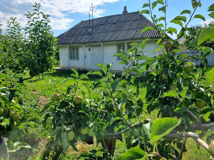 Casă cu 2 camere în Miron Costin