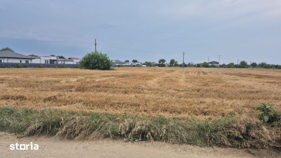 Teren de 730 mp, în Șerbănești