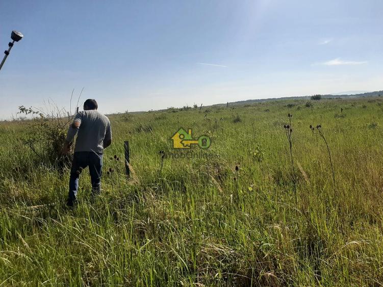 Teren agricol extravilan de 21434 mp, în Nord-Est