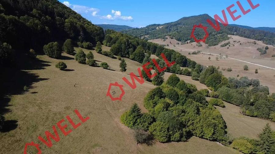 Teren extravilan de 7766 mp, în Dălghiu