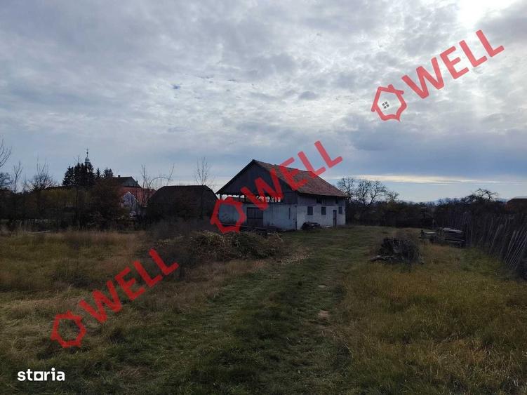 Spațiu comercial, în Valea Crișului