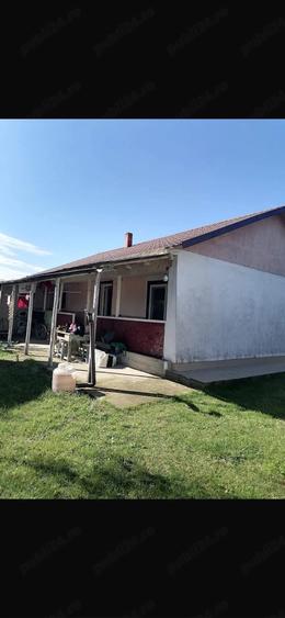 Casă cu Teren 2436 Mp în Cotu Ciorii