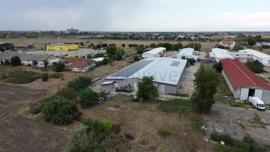 Spațiu industrial, de 2,196 mp, în Pecica
