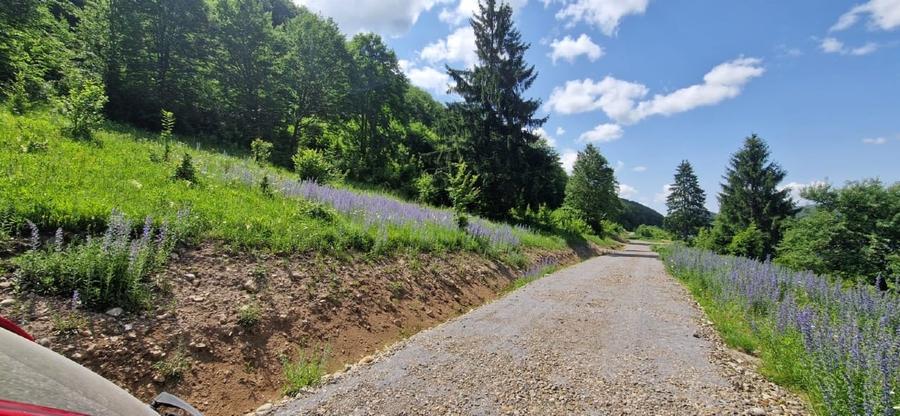 Teren intravilan de 5467 mp, în Zetea