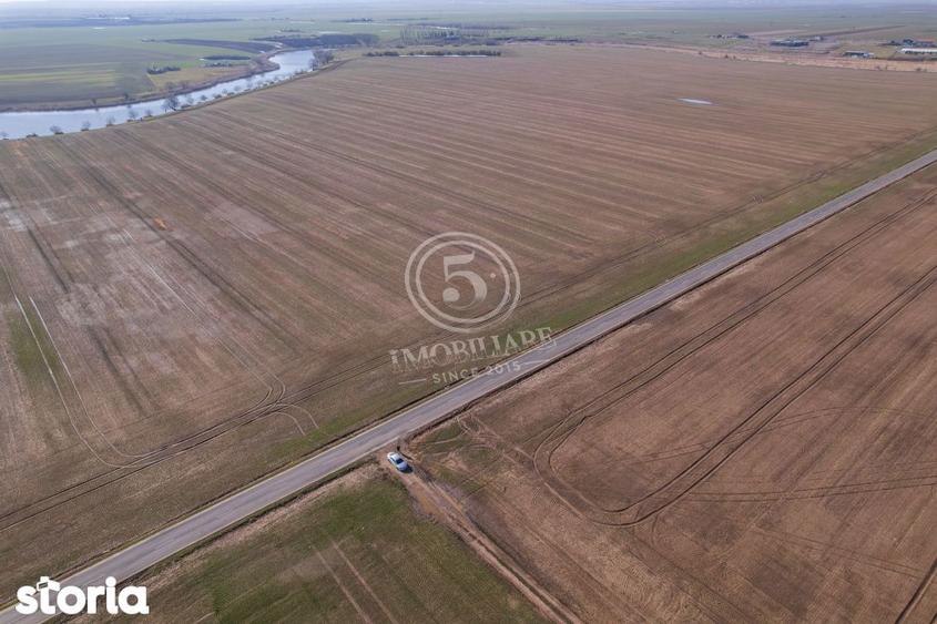 Teren de 17500 mp, în Vasilați
