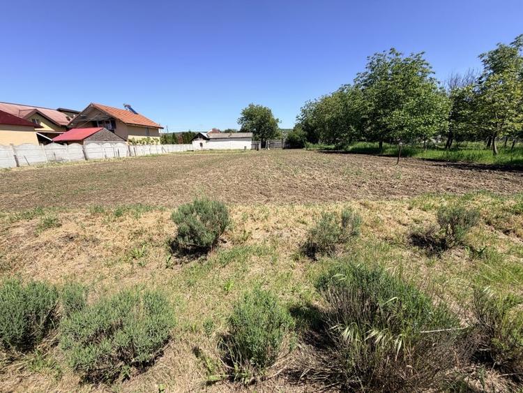 Casă individuală cu 6 camere cu Teren 3000 Mp în Exterior Nord