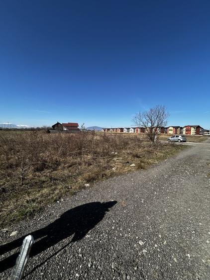 Teren de vanzare drumul cu plopi - 3