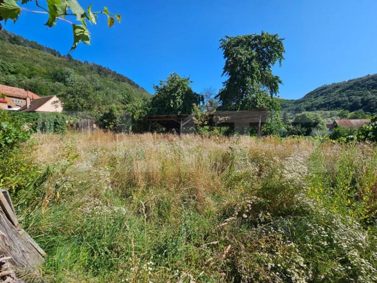 Casă cu 5 camere cu Teren 1249 Mp în Laz (Săsciori)