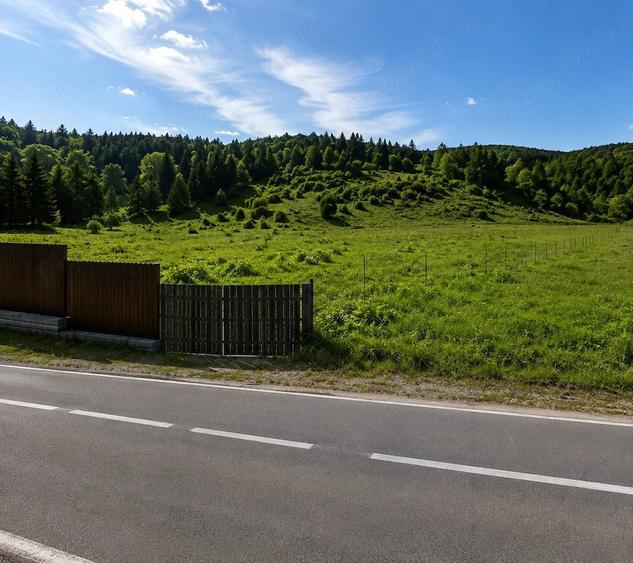 Teren de 33300 mp, în Tulgheș