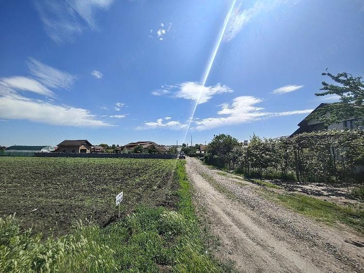 Teren de 5000 mp, în Cătămărești