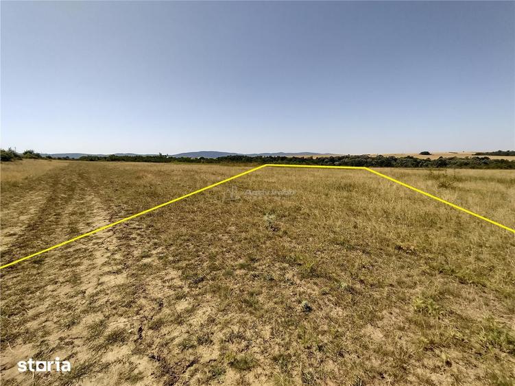 Teren de 14500 mp, în Cara