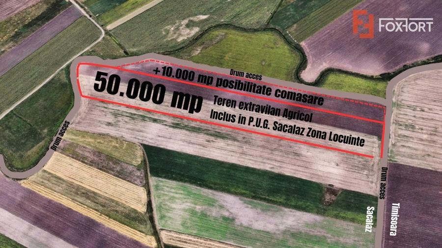 Teren agricol extravilan de 50000 mp, în Săcălaz