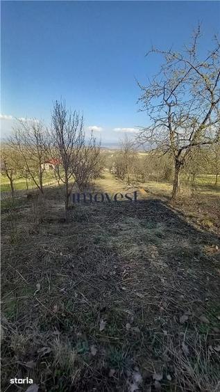 Teren de 3000 mp, în Orașu Nou